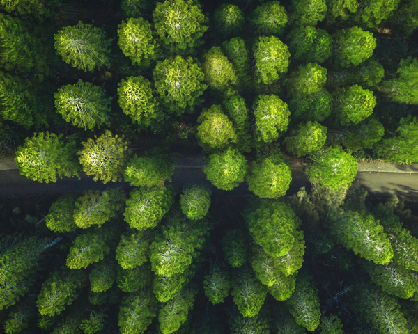 Environment & quality work